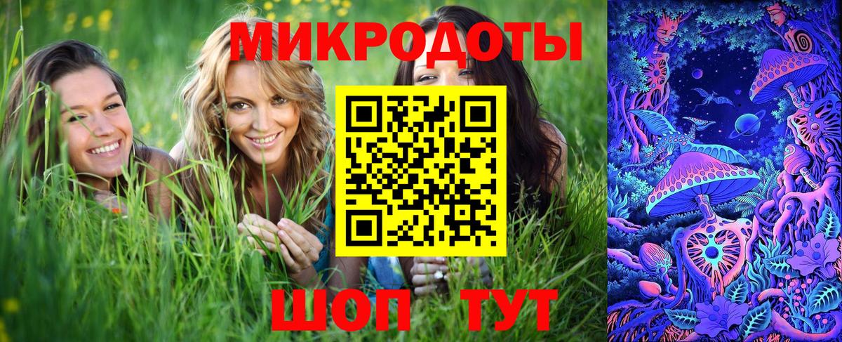 Галлюциногенные грибы Psilocybe  Вход с VPN  Сокол 